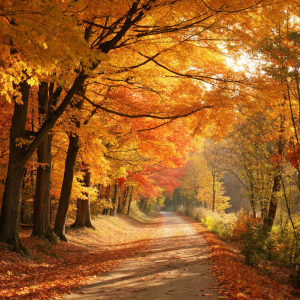 L’automne est arrivé !